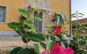 B&B Fiore